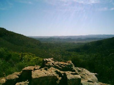 Wangarra Lookout Summit.JPG