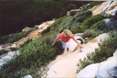 Verirrt in den Blues.jpg