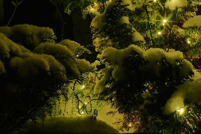 weihnachten.JPG (1.09 MiB) Viewed 20778 times Weihnachten 2009